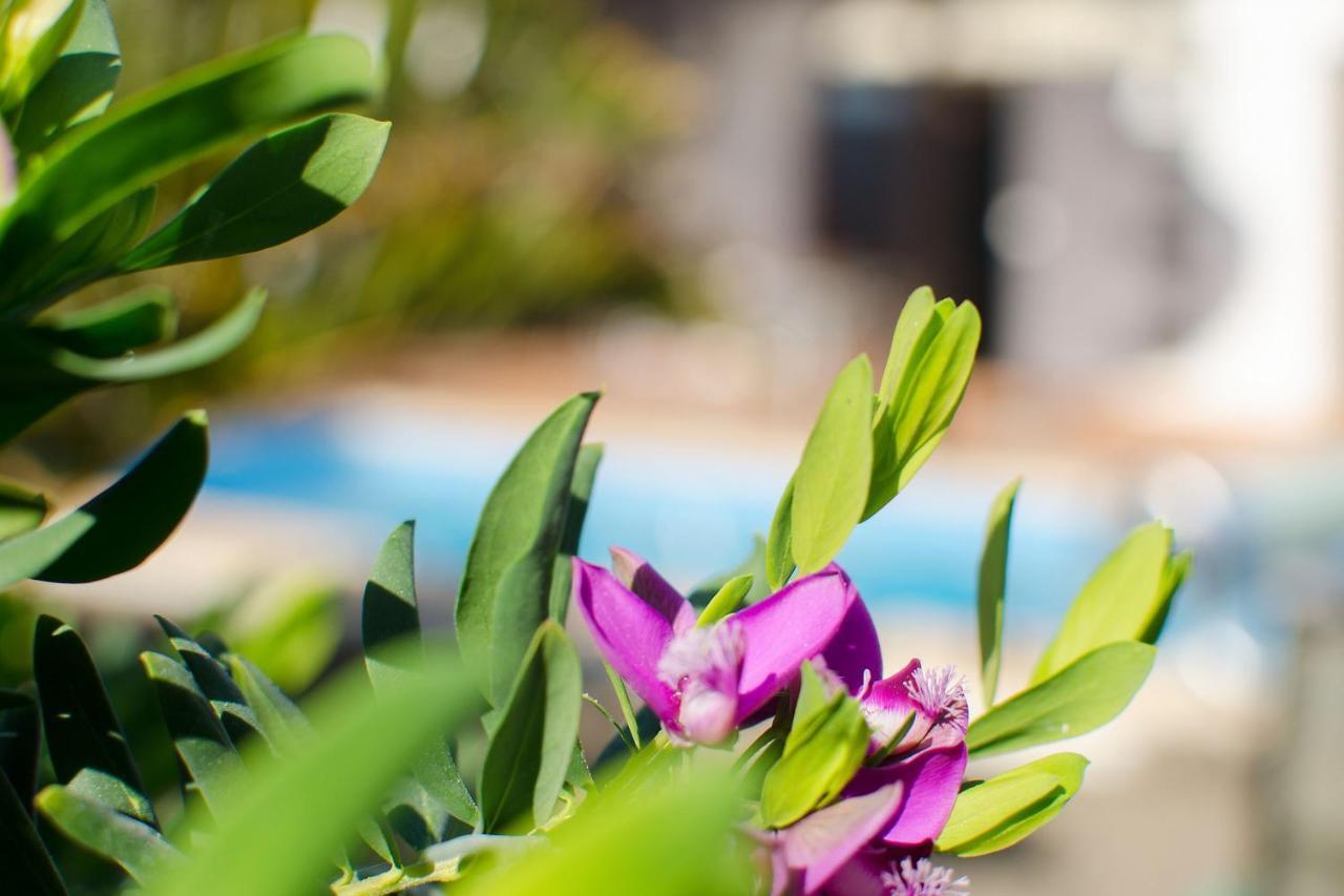 Villa De La Paz Playa Blanca Dış mekan fotoğraf